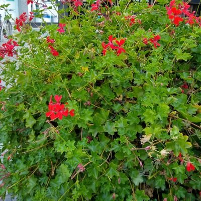 mindfooly's profile picture. Music,RJing, poems,politics are interests.Centrist.Views may be Loud or subtle.
Both Ji & thozhar are allergic words.
She/her from Trichy/Madras.