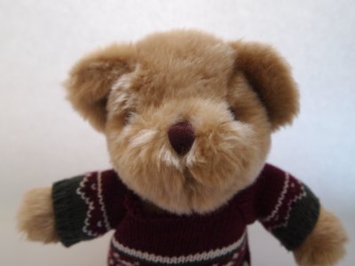 RepairBear2's profile picture. I am a bear who likes to repair things.  I live with @suearcher6, @Maker_of_Things and @ratvaark