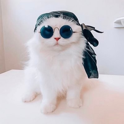 YanaYershova's profile picture. 