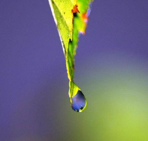 Randy315's profile picture. 