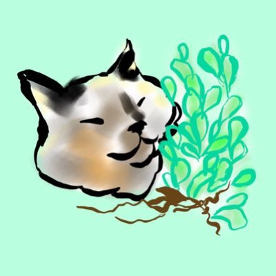 ✨ivy✨ 🧡さんのプロフィール画像