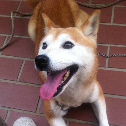 montitter's profile picture. 