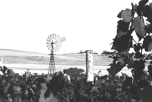 Burrumboot's profile picture. Mount Burrumboot Estate wines is a boutique winery in the Heathcote Wine region in Australia, growing a wide range of award winning, handmade, artisanal wines.