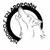 Nórdicos en Adopción (@nordicosadpcion) 's Twitter Profile Photo Nórdicos en Adopción (@nordicosadpcion) 's Twitter Profile Photo