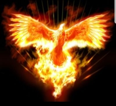 CATANGA3111's profile picture. Nuevas expectativas