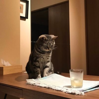 iy2uMTZGQSUh5Jm's profile picture. 都内住み 36歳 174/62 #パパ活