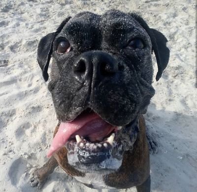 George67582358's profile picture. Hello I am new here I don't have parents anymore I want someone responsible to be my parents, I am a good person and honest I love to make honest friendship