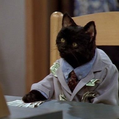 VenikAndo's profile picture. See, I dislike social media and yet here I am...sigh... the things I do for memes.