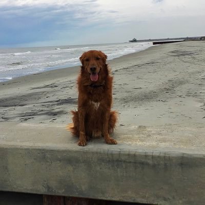 MrPrinceButt's profile picture. former only child. still tryin to deal!