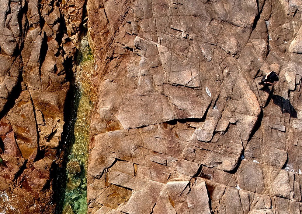 MagBoiss's profile picture. Vulgarisation scientifique, Ingénierie pédagogique, Recherche en infectiologie, Réalisation ... et toujours en quête d'expériences bénévoles de