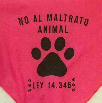 Amo a los animales💓Ayudemos a los animales💖

.
#NoAlMaltratoAnimal
#igualdad




🌱🌷🌳♲💧🐾