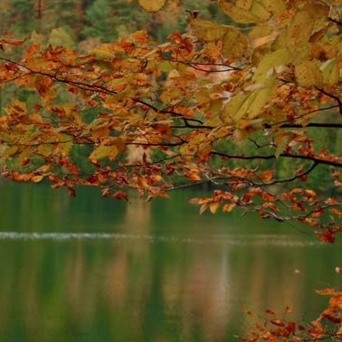 DrY011's profile picture. Cyber Security Researcher/ Content Writer