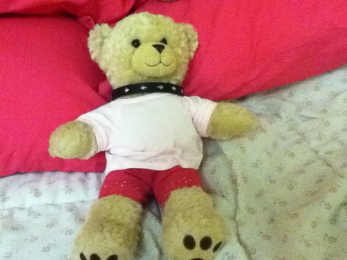 subbutton23's profile picture. business school student,sub, kinky, switch, likes ouchie and pointy things! total dork! 4'11 of  perkyness! professional attention whore