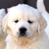 Chris Draheim (@chris_draheim) 's Twitter Profile