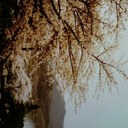 Jenny Won - @sweetpuhtaytoe - Twitter