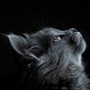 Prince Mark Ilagan - @PrinceMarkAce21 - Twitter