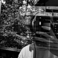 Collin (@seedy) 's Twitter Profile