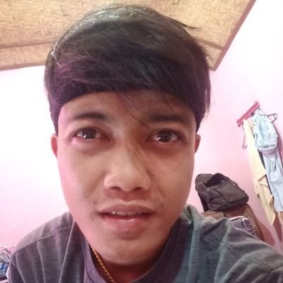 Gedemertayasa93's profile picture. 