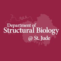 Structural Biology at St. Jude Children's Hospital(@StJudeStructBio) 's Twitter Profile Photo