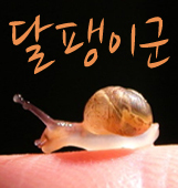 Mr_Lumaca's profile picture. 그냥 달팽이.