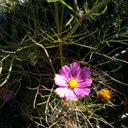 Mark Park - @carpediemark - Twitter