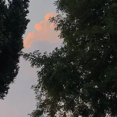 chso963's profile picture. :)