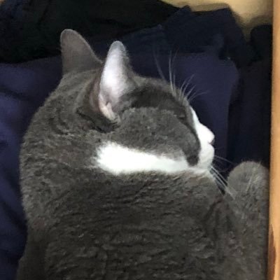 muse_trevor's profile picture. 