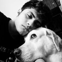 Arnav (@arnaviswriting) 's Twitter Profile