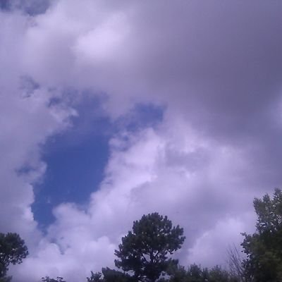 Judy57187895's profile picture. seeker ,conquer