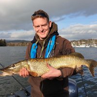 neil riding (@neilriding2) 's Twitter Profile