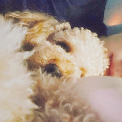 sunsun_010's profile picture. 