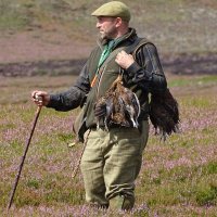 Ben (@engines_gundogs) 's Twitter Profile Photo