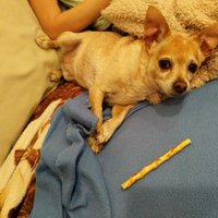 nurosys (@nurosys) 's Twitter Profile