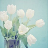 Տⓔℬᗅ ⓜℍⅅⅈ (@seba__mahdi) 's Twitter Profile