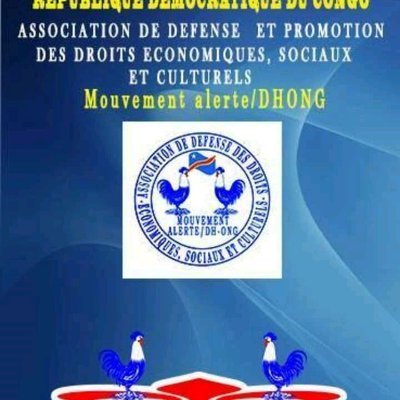 ONGDH Mouvement Alerte est une organisation de la société civile congolaise.
Nous intervenons sur VBG,SSR, DH, Protection de l 'environnement !!