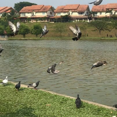 Murahrezekigma1's profile picture. #bersyukur apa yg Ada ...tq Allah swt