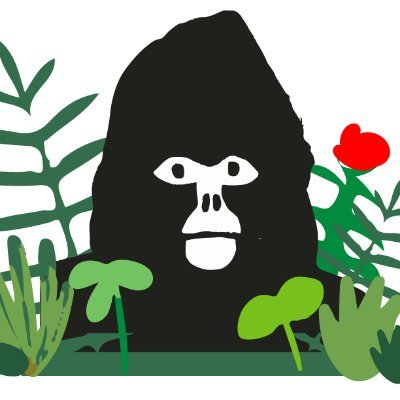 Wildcards NFTsさんのプロフィール画像