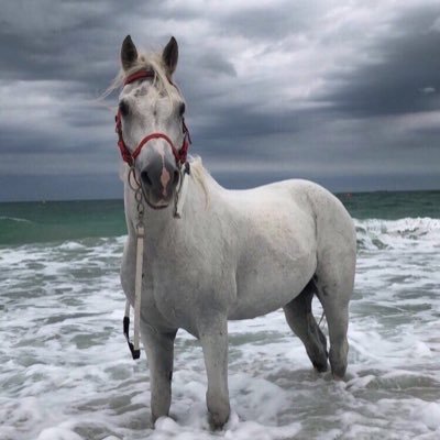 ImwcJ's profile picture. 