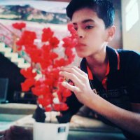 Qasim Khan (@qasimkh72592847) 's Twitter Profile