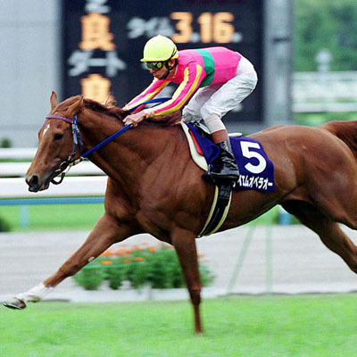 オペペです。「オペペの競馬日記」というブログをそれなりに前からやっていますので、そちらもよろしくお願いします。