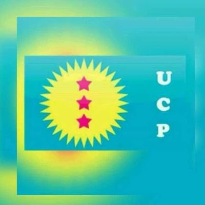 LIGUE DES JEUNES UCP Profile