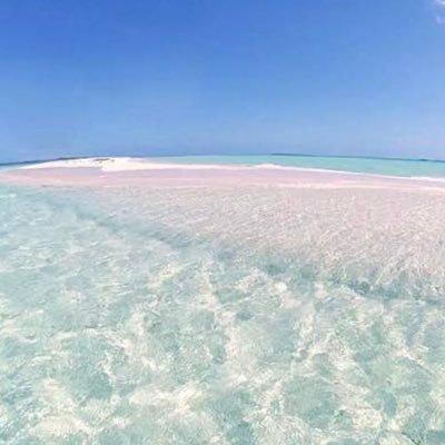 Sara 私も意見を送り続けています 抽象的な表現しかなく 中身が不透明 日本にとっての不平等条約 米国の大企業の為の協定はいらない 私達日本国民の生活に悪影響しか及ぼさないことは明白 日米貿易協定交渉 日米fta反対 日米tag反対 T Sara 私も意見を送り続けています 抽象的な表現しかなく 中身が不透明 日本にとっての不平等条約 米国の大企業の為の協定はいらない 私達日本国民の生活に悪影響しか及ぼさないことは明白 日米貿易協定交渉 日米fta反対 日米tag反対 T