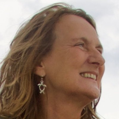 Workplace activism, Social Entrepreneur, BCorp, Earth Charter, Lab Toekomstige Generaties, Worldconnector, Anticipaton Bulletin GEAB, yoga,4 kids