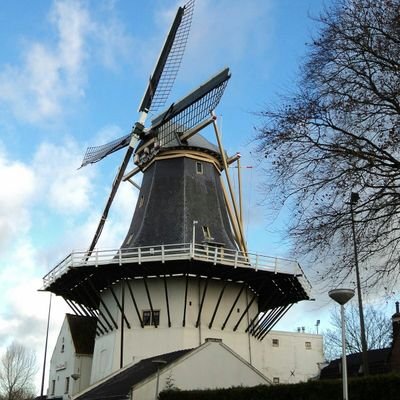 Volgt alles op het gebied van historie,voornamelijk de eerste en tweede wereldoorlog.