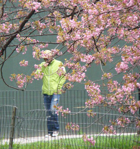 jairogudino's profile picture. Curious