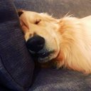 Robert Bohac - @RiChmAnRoB - Twitter