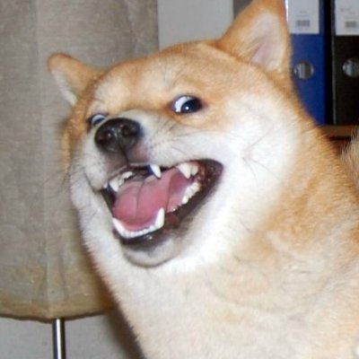 K47286048's profile picture. 