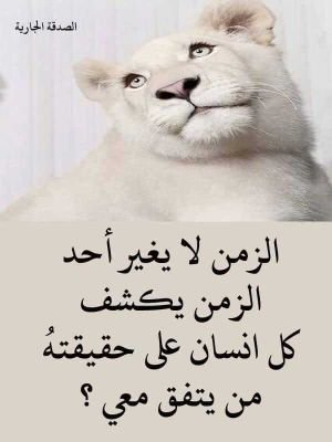 u9DN08KabopUUJb's profile picture. أحب جمع أكبرعددمن الأصدقاء