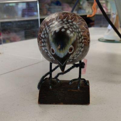 pissedpige0n's profile picture. If I had a middle finger, I would flap it🐦