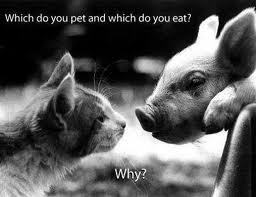 Vegan ~ Compassion Is Not A Luxury ~ It Is Essential To Our Survival ~ 
Please Like Us http://t.co/y9T97oAtEV